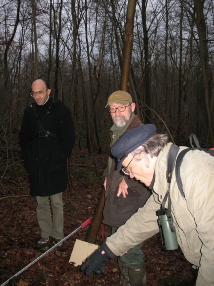 2006 Arbres remarquables 07